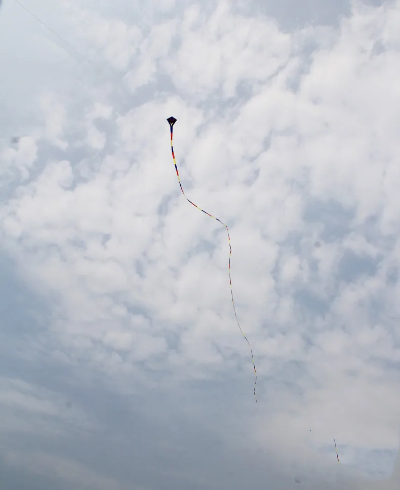 NEW KITE Professional 100m Power Robot Cobra /Animal | Игрушки и хобби