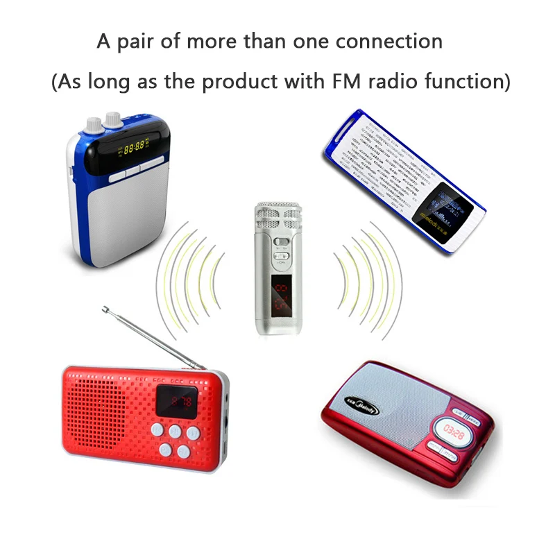Ручной FM микрофон LEORY Mini Reverb беспроводной для туристического гида