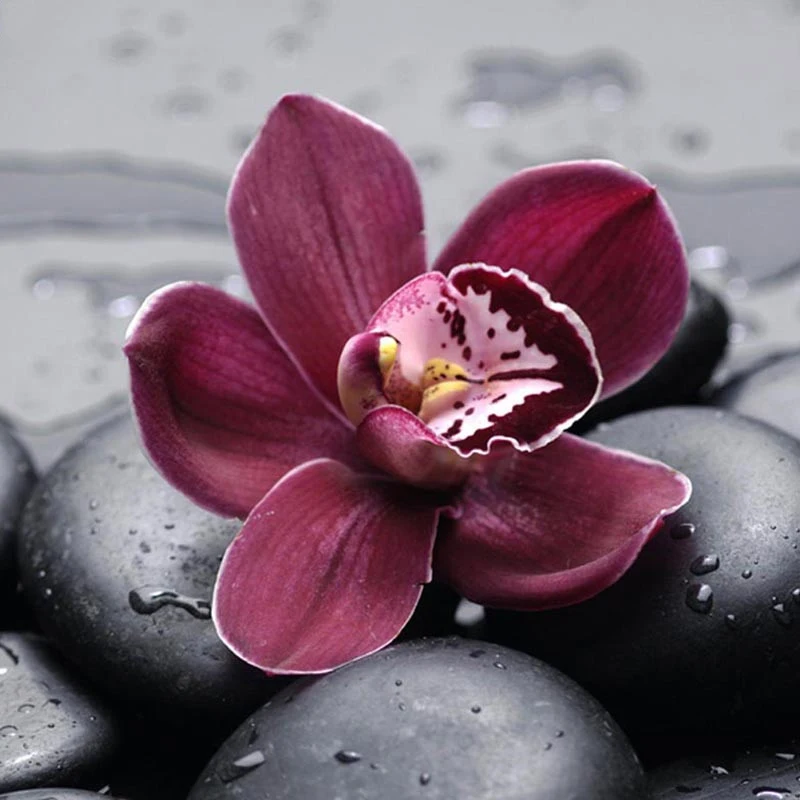 

Full square/Round drill Diamond embroidery Flower 5D DIY diamond Painting Cross Stitch Rhinestone Mosaic HYY