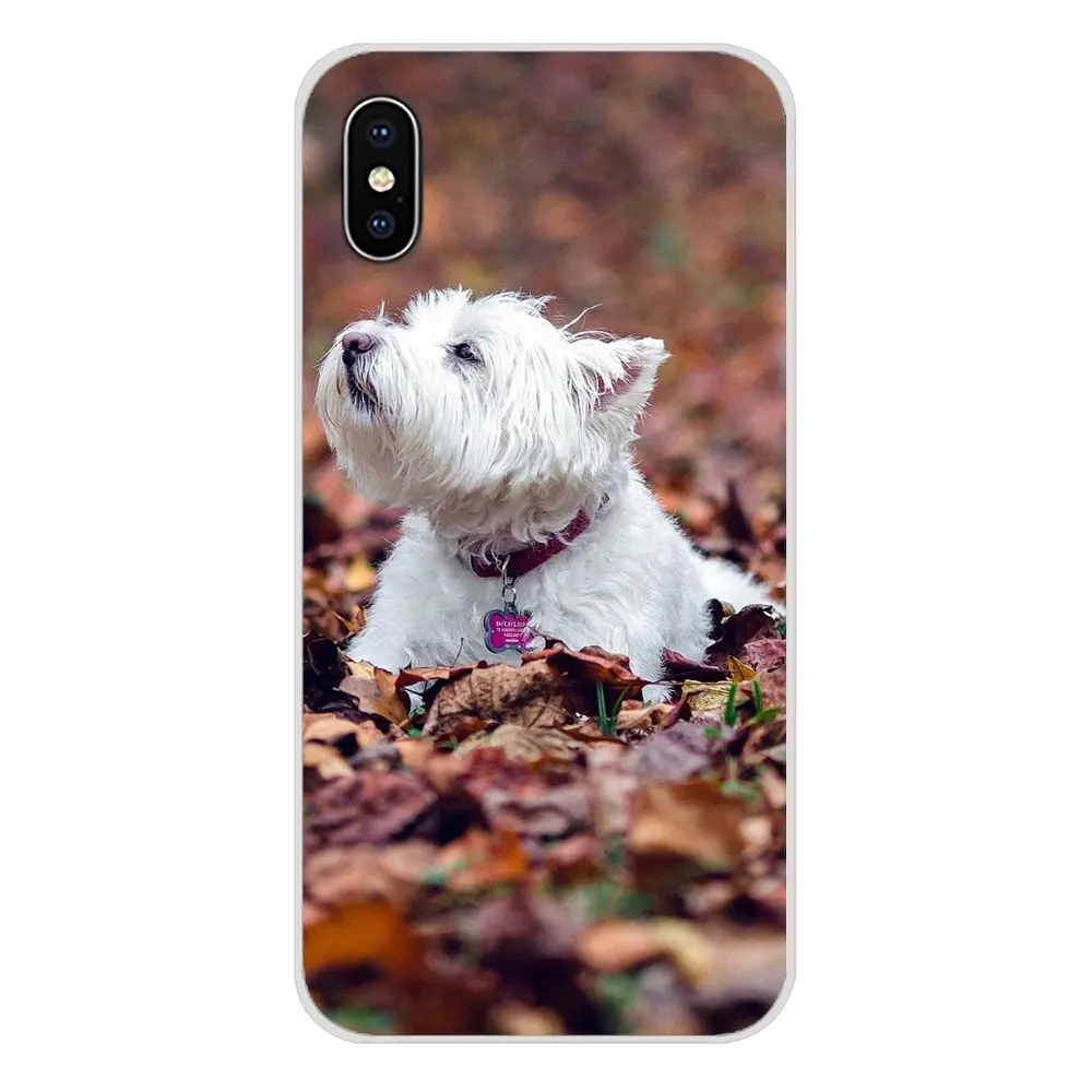 Чехлы для мобильных телефонов West Highland White Terrier Dog Scotland Samsung Galaxy S4 S5 MINI S6 S7 edge S8 S9 S10 Plus