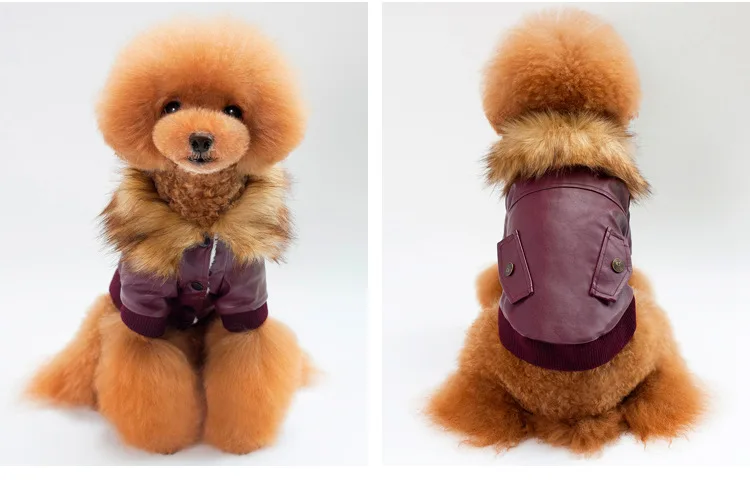 P10 модные Pet кожаная куртка для собак теплая зимняя одежда с меховым воротником