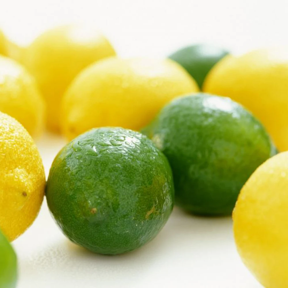 12 шт./компл. имитация поддельный лимон фрукты искусственные овощи Фрукты Модель