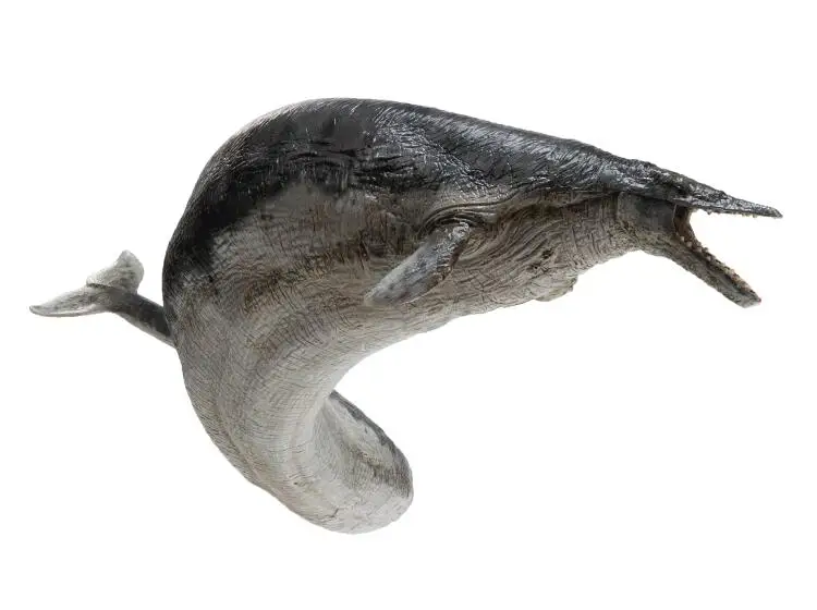 PNSO 50 см длина древняя фигурка животного кукла модель Basilosaurus с кронштейном Классические игрушки для мальчиков Морская жизнь возраст динозавров
