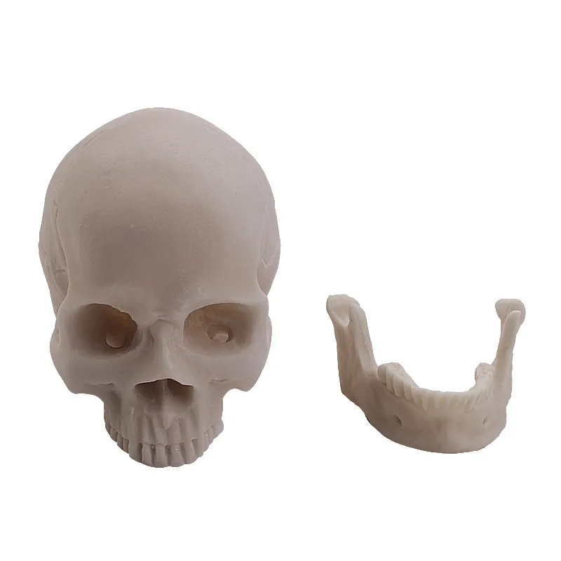 Распродажа череп таза челюсти и скрапбукинг металлический анатомический скелет