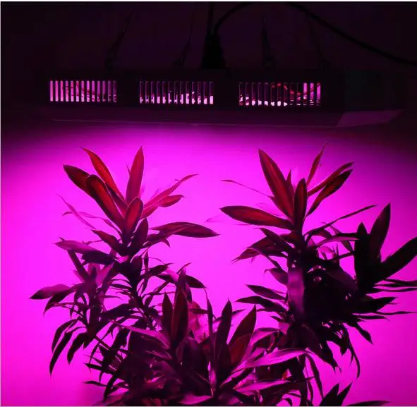 300LEDs 300W led grow light for hydroponics greenhouse Grow Tent box LED Lamp suitable for all stages of plant growth
