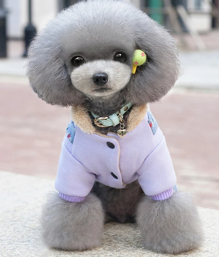 Зимняя для домашней собаки пальто комбинезон джинсовый ремень Pet Puppy куртка брюки теплая одежда