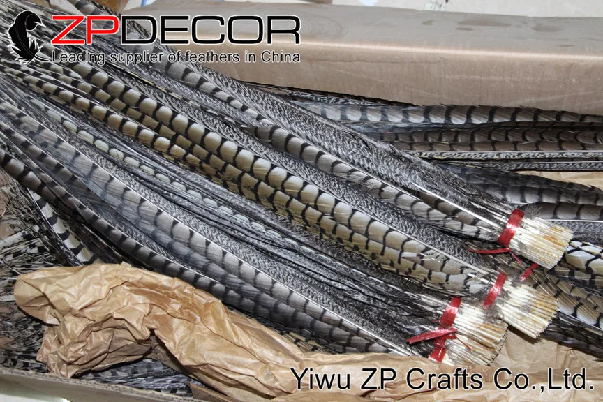 Zpdecor 32-36 дюймов(80-90 см) 50 шт./лот высокое качество натуральный длинный Алмазный фазан перья из хвоста фазана для карнавала шоу EMS бесплатно