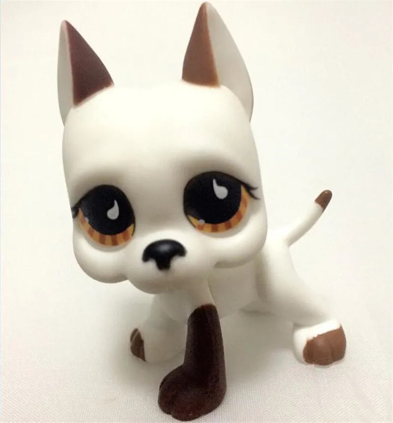 17 Настоящий Pet Shop Lps игрушки коллекции стоячий Короткий волос Кот белый табби черный такса собака колли большой датчан - Цвет: 17