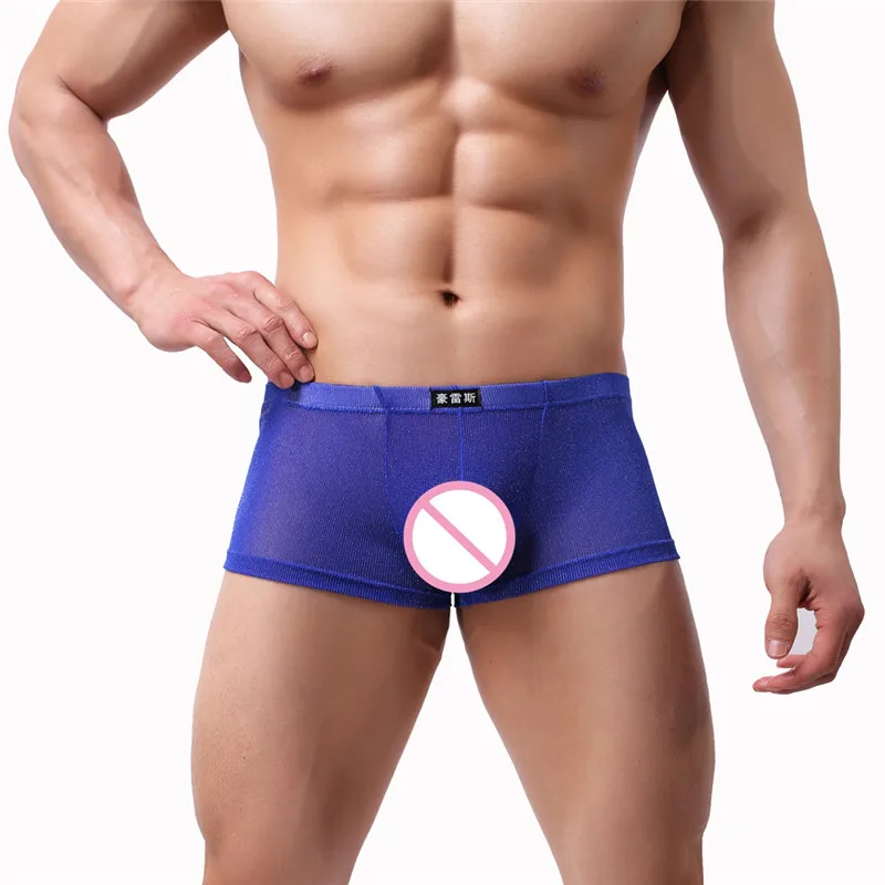6PCS Men's Mesh Boxers Sexy Underwear Transparent Nylon See-Through Gay Male Underpants Panties Thin Breathable Gauze Net Boxers