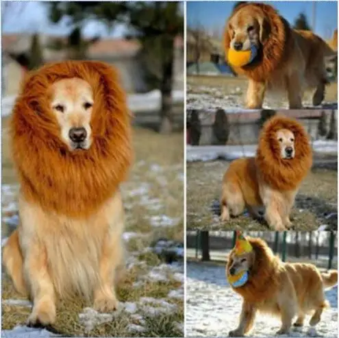 Одежда для кошек на Хэллоуин искусственный парик с львиной гривой больших собак