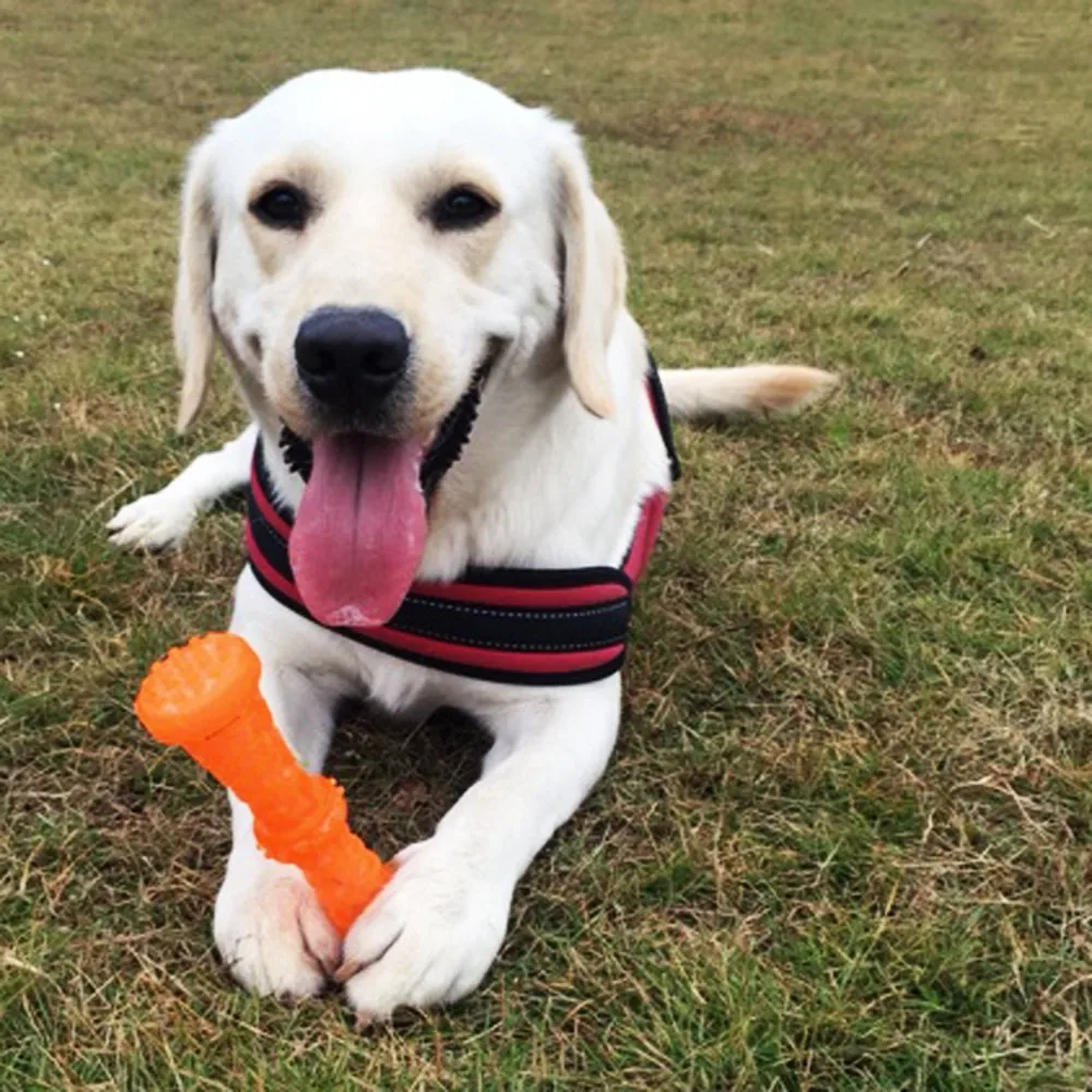 

Pet Tooth Clean Squeak Large Dogs Interactive Toys For Golden Retriever Training Tool Dog Chew Toy Sound Molar Big Dog Toys