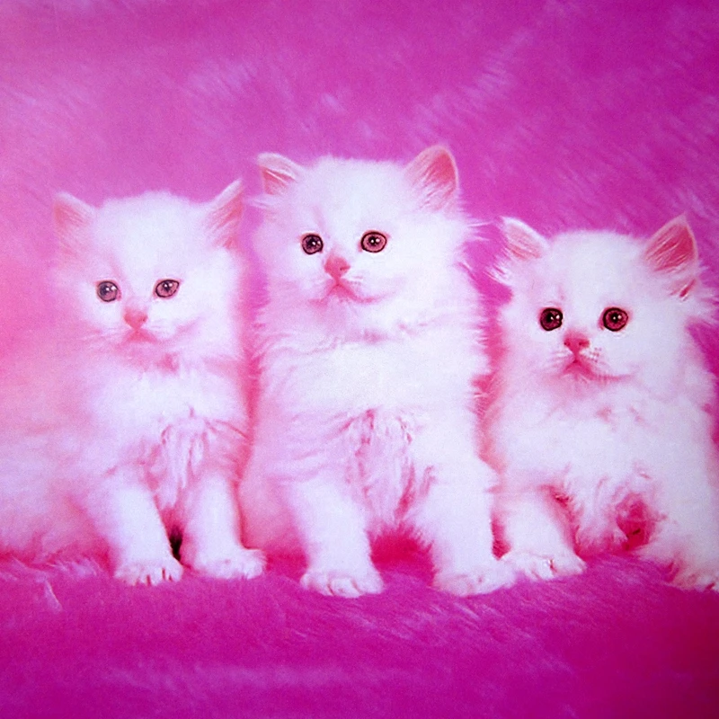 Теплое мягкое сиденье для унитаза с рисунком крышки 2016 высокое качество комплект