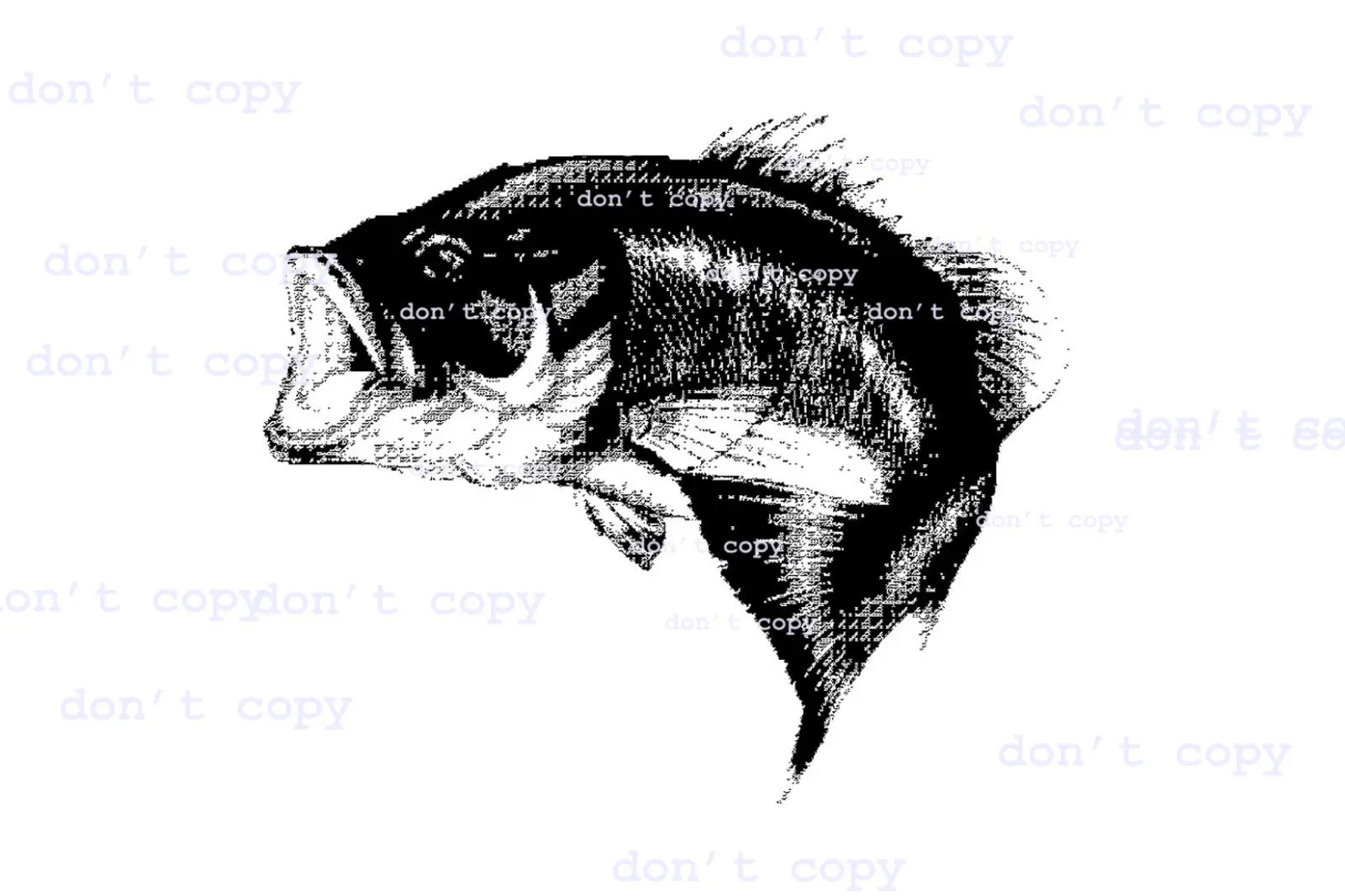 

2019 Sea Bass fish picture great gifts white 100% cotton graphic top t-shirt