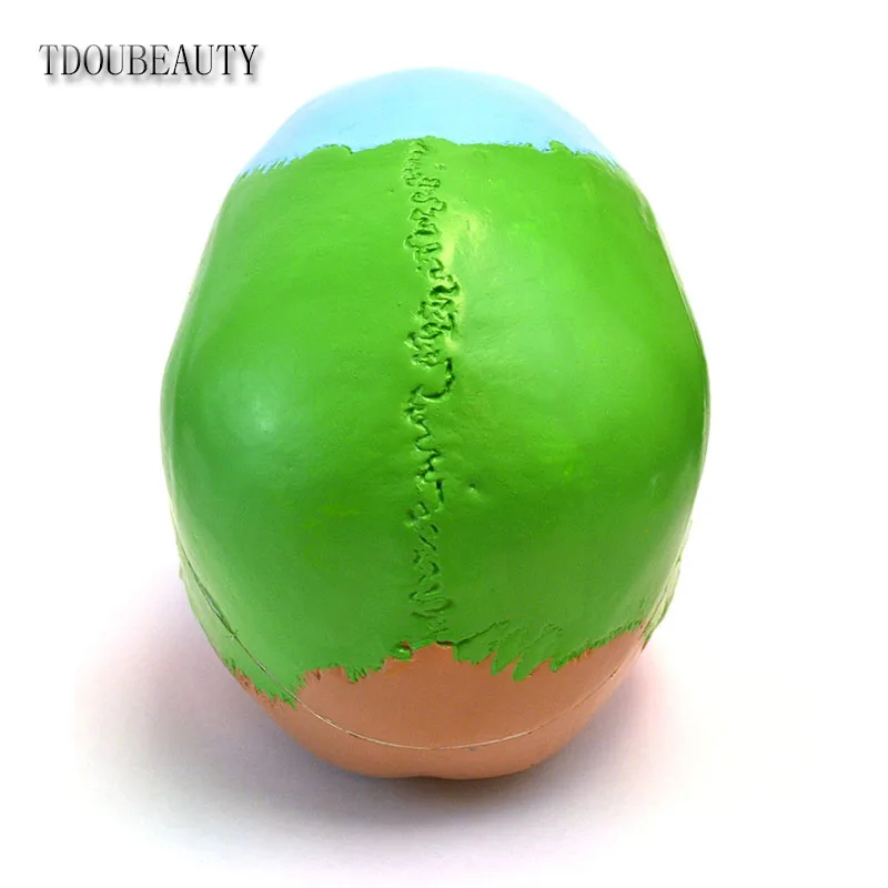 Манекен 22 дюйма анатомическая модель черепа TDOUBEAUTY с дидактической окраской 3