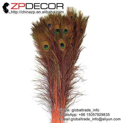 № Zpdecor Массовая 100 шт./лот 40-45 см(16-18 дюйм(ов) непосредственно окрашенные оранжевый павлиньи перья - Цвет: orange