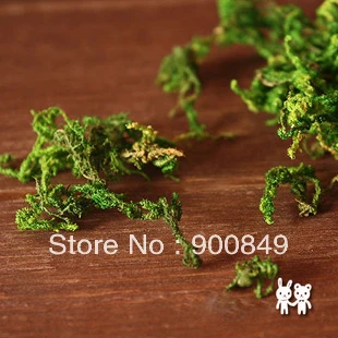 2Packs Moss (Sold in per package of 5g) For DIY jewelry making glass globe necklace Fairy Dust Bottles | Украшения и аксессуары