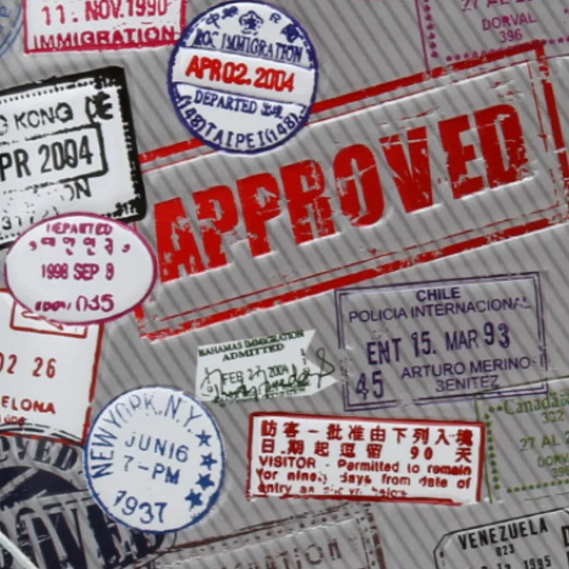 Забавный дорожный ПВХ кожаный милый дизайнерский чехол для паспорта женщин и