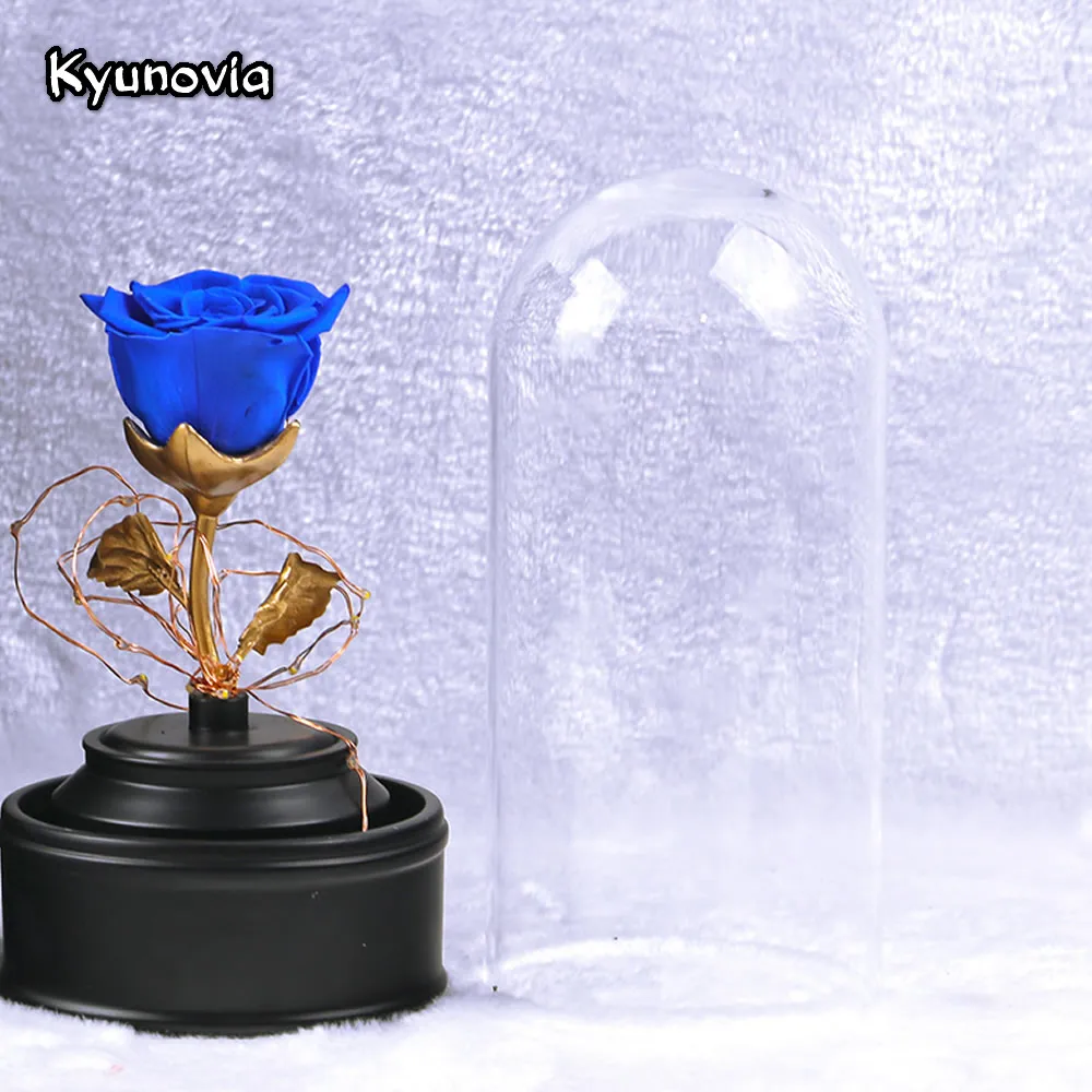 Kyunovia свежий сохраненный настоящий цветок розы со светодиодной подсветкой