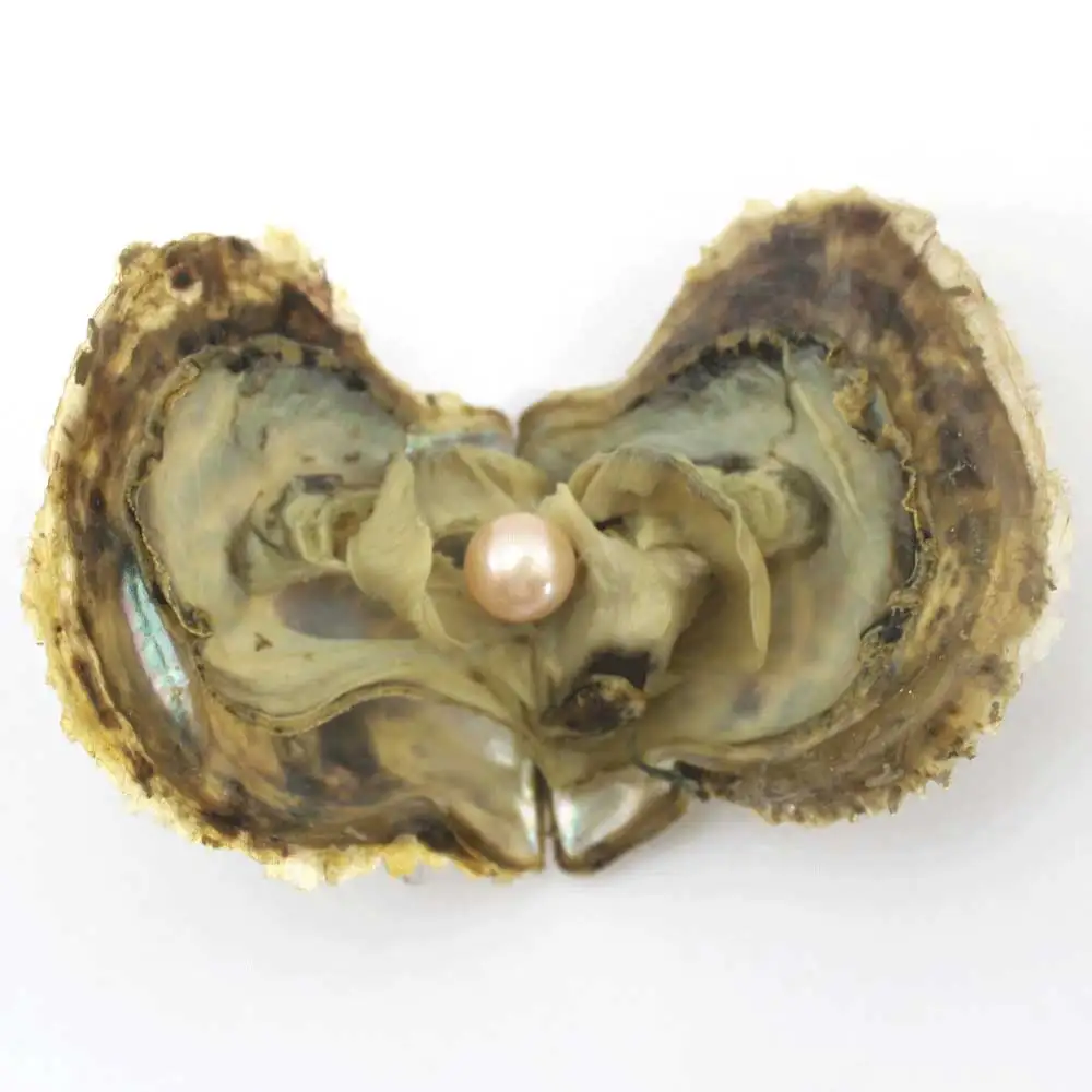 Жемчуг Эдисона Oyster 9-12 мм натуральный жемчуг в соленой воде свободные большие бусины украшения в вакуумной упаковке для подарка ювелирные изделия DIY EE2022