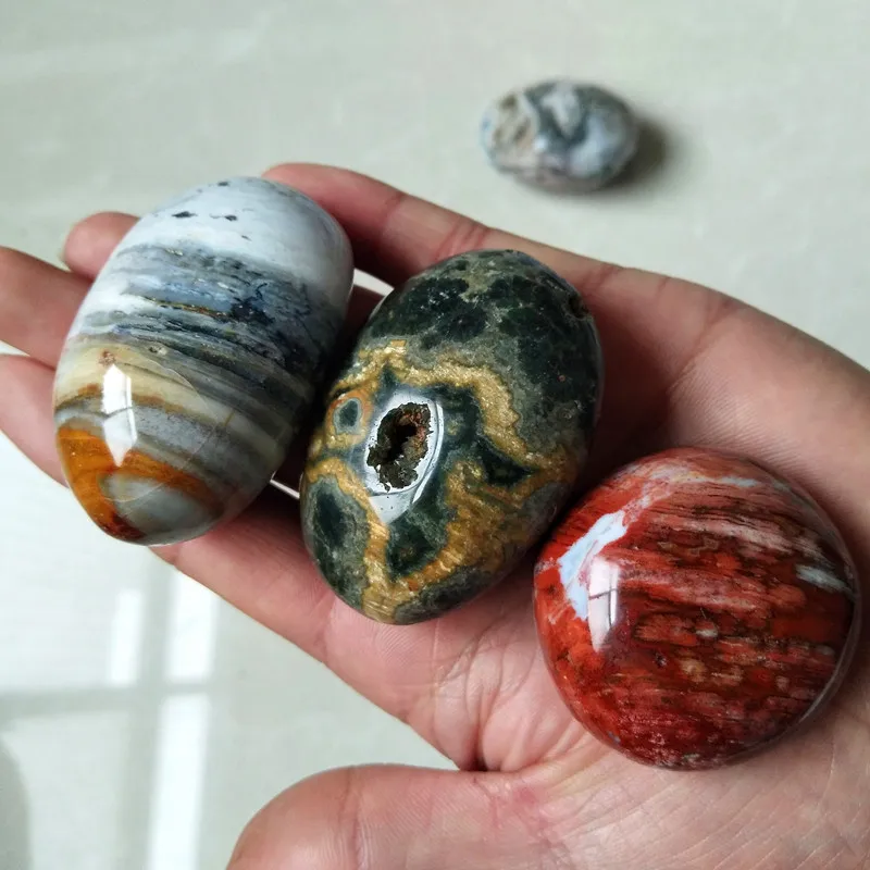 Камни и кристаллы натуральный морской яшма пальмовый камень украшения
