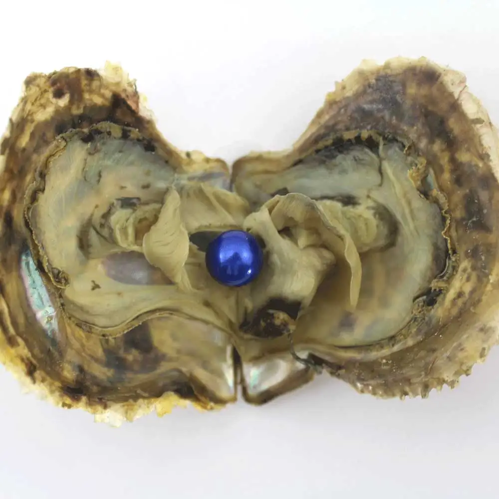 H7 Жемчуг Эдисона Oyster 9-12 мм натуральный жемчуг в соленой воде свободные большие бусины украшения в вакуумной упаковке для подарка ювелирные изделия DIY EE2022 - Цвет: H7