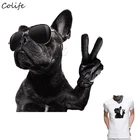 Нашивки для очков Cool Dog для украшения одежды, переводная моющаяся аппликация с помощью утюга