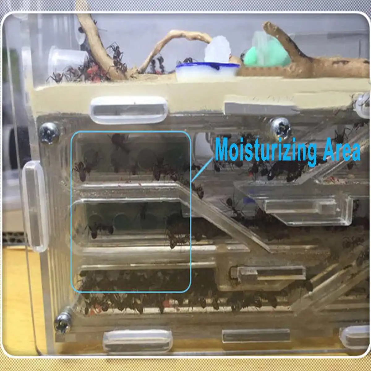 3D Большой DIY влага с питанием площадка Муравьиное гнездо, муравьиные гнезда для домашних животных 150x54x110 мм