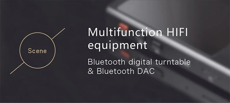 XDuoo X20 bluetooth MP3 плеер DSD без потерь HiFi музыкальный плеер 256G Поддержка bluetooth Amp PCM384kHz/32 бит OPA1612 DAC FLAC