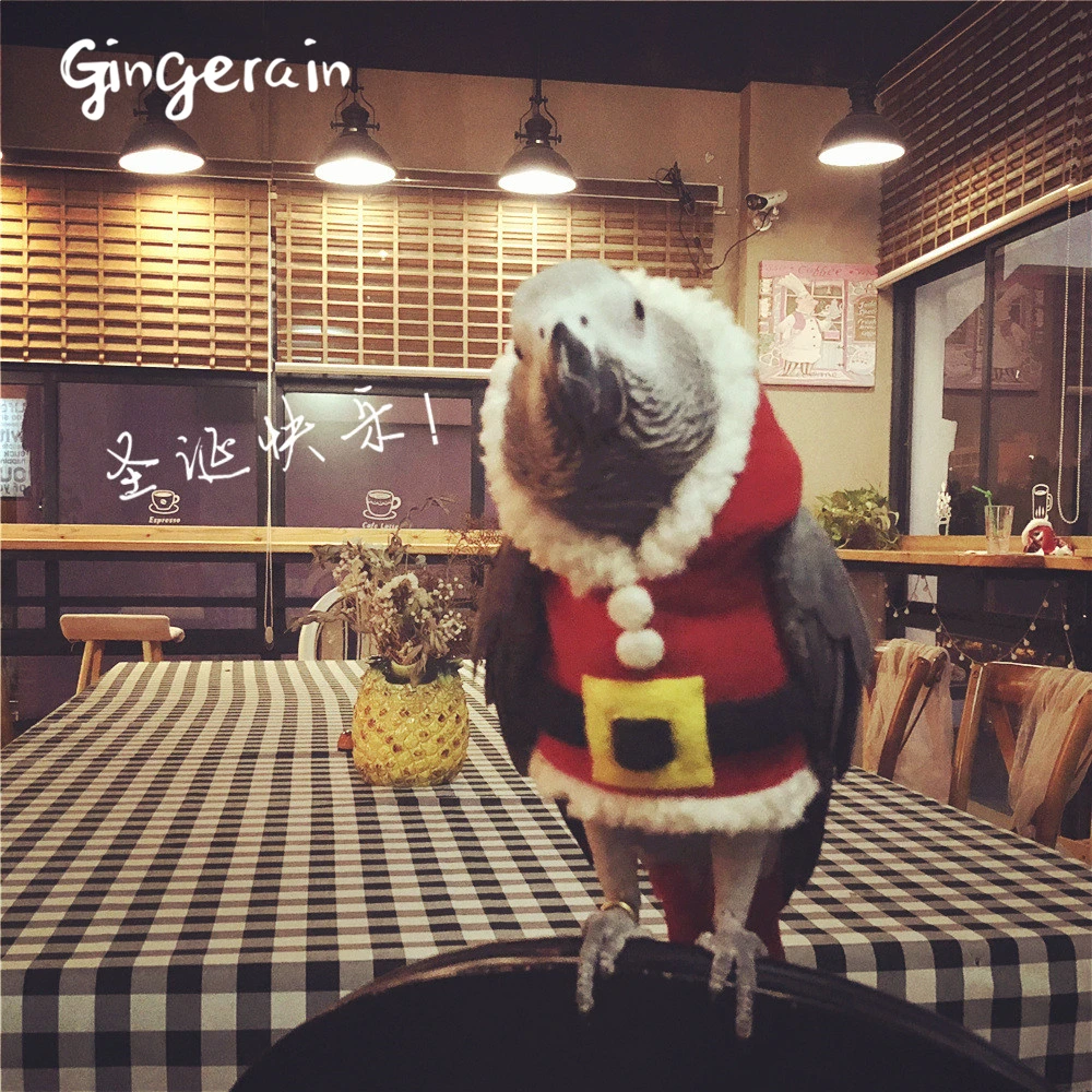 Gingerain одежда с птицами, одежда с попугаем, большая рождественская оригинальная ручная работа, одежда с птицами, свитер с капюшоном, большой Рождественский