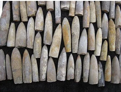 

1000g Natural Rare The arrow fish fossil specimens