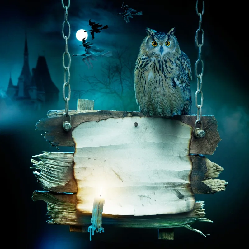Фон для вечерние съемки с изображением совы замка деревянной доски Луны
