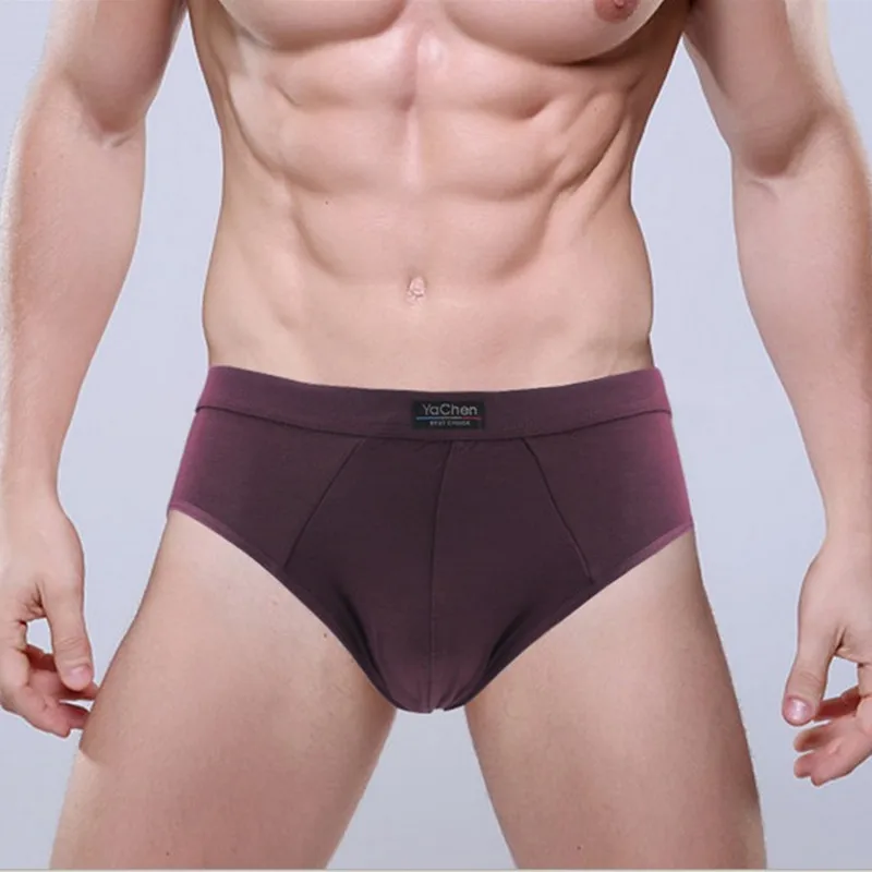 

Men Sexy Briefs Modal Soft Male Underwear New Fashion Men's Briefs Slip Hombre Underwear 1 piece