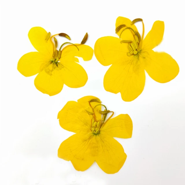 Высушенные эпоксидные прессованные цветы чехол кассии для iPhone сделай сам сырье