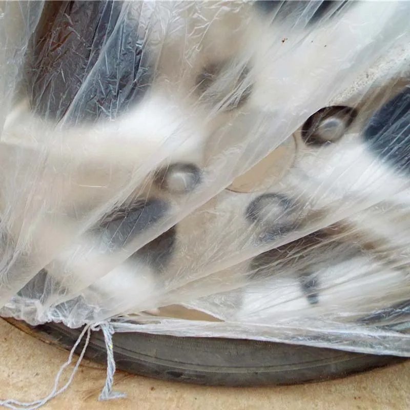 Чехол для автомобиля прозрачный пластиковый временная одноразовая