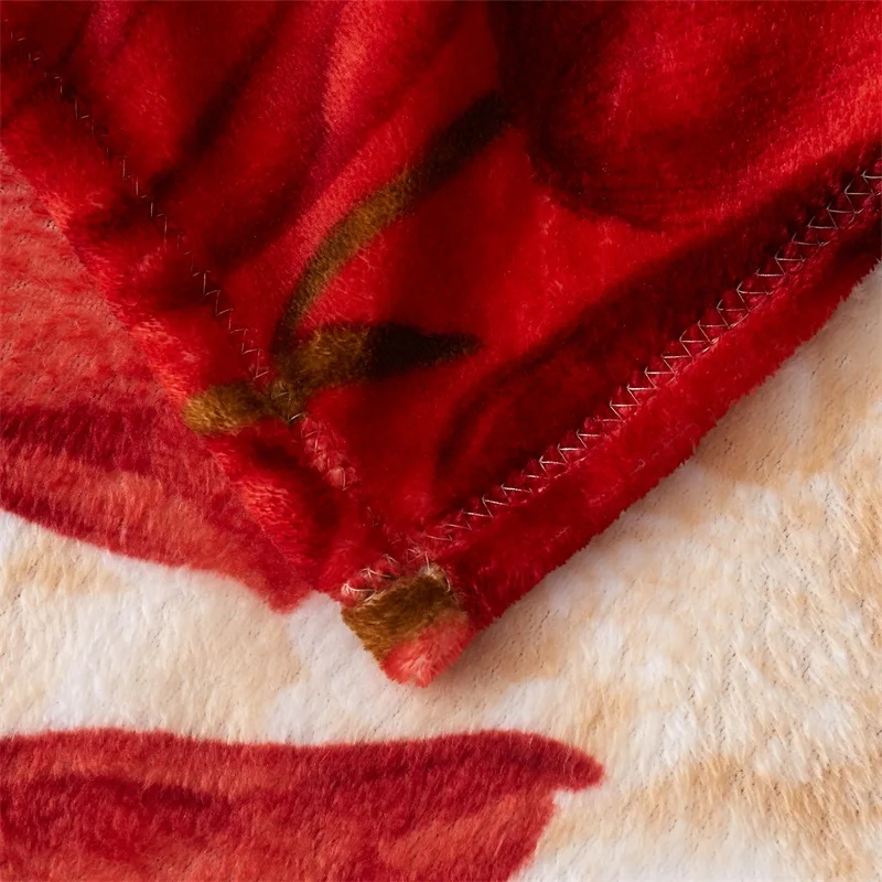 Теплый плюшевый фланелевый флис тонкое одеяло бросает Твин/Полный/Королева