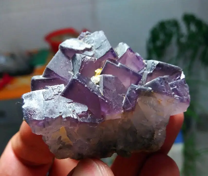 

TOP 75g Rare Natural Purple FLUORITE Crystal Cluster Mineral Specimen