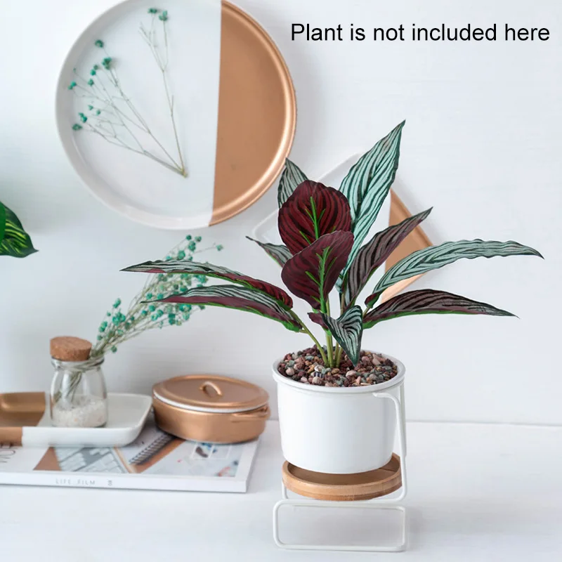 Planter Pots Indoo White Ceramic Round Bowl Large with Metal Stand/Bamboo Tray for Succulent Cactus New | Дом и сад