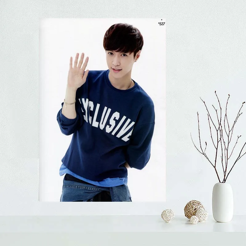 Custom LAY Canvas Painting Poster Home Decor Cloth Fabric Wall Art 27x40cm 30x45cm 40x60cm 50x75cm 60x90cm | Дом и сад