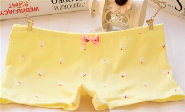 2018 нижнее белье для девочек трусики с бантом и низкой талией трусы