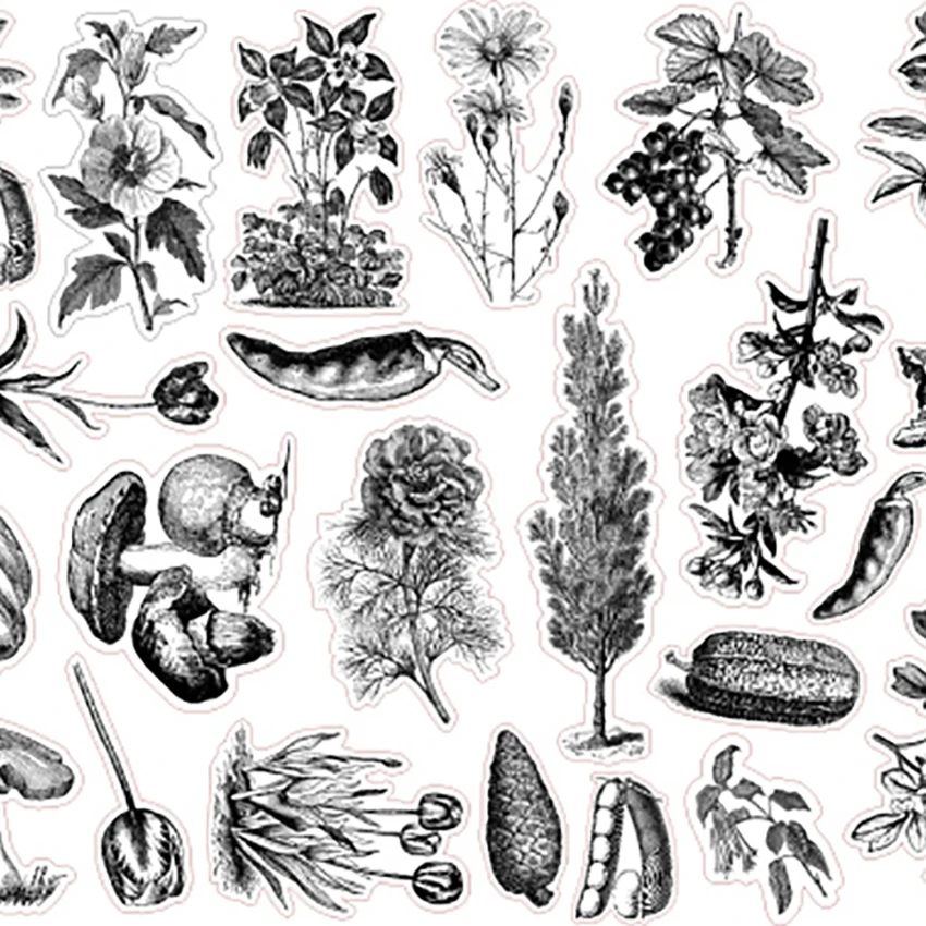 

24sheet/pc black and white plant stickers school office supplies vintage stickers for laptop skateboard suitcase bike DIY albums