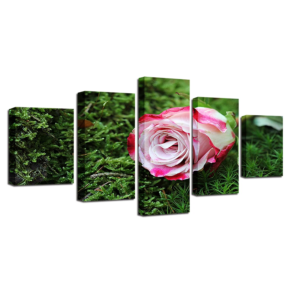 Современный декор для спальни фоторамки HD печать 5 шт. розовый цветок розы
