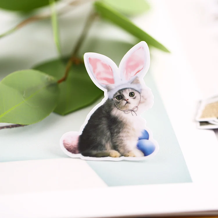 21 шт. корейский милый кот наклейки мобильный телефон сделай сам фотоальбом водонепроницаемый прозрачный прекрасный декоративный материал вокруг Мяу