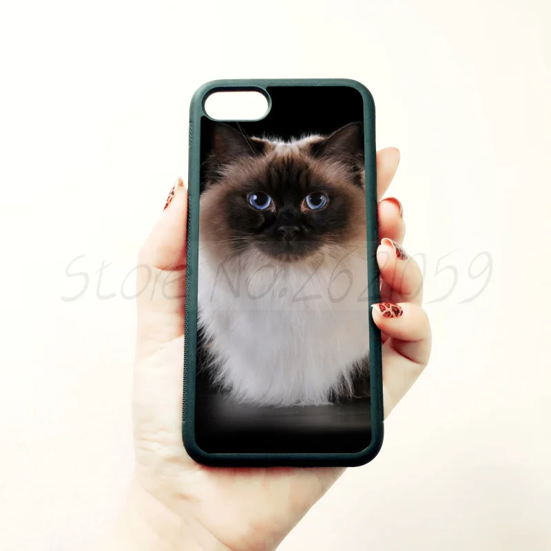 Сиамская кошка Мягкий край чехол для телефона iPhone 5S SE 6 6S plus 7 8 X XR XS MAX черный