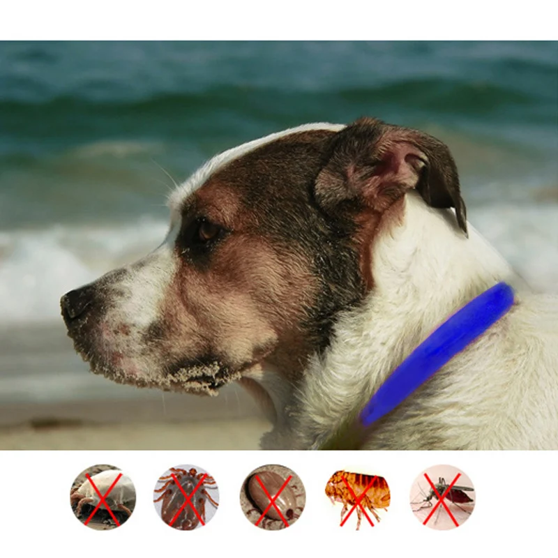 4 месячный эффективный Блошиный и клещевый ошейник для больших маленьких собак