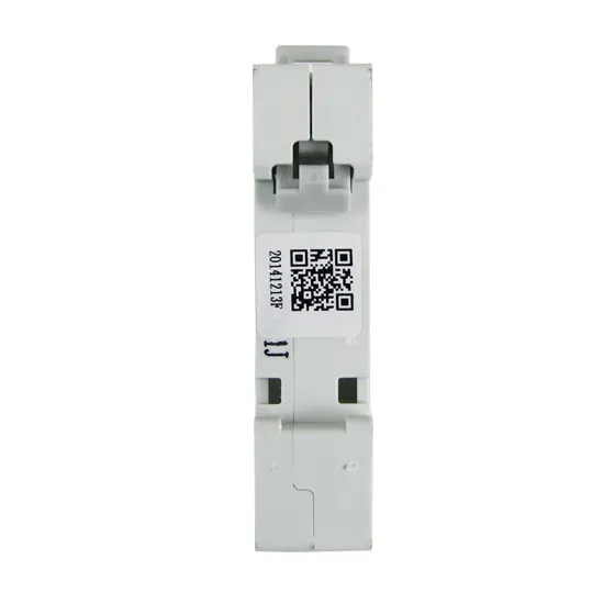 DZ47s-1P / 40A 50A 63A 80A 100A 125A current Circuit breaker with over and Leakage protection air break switch | Строительство и