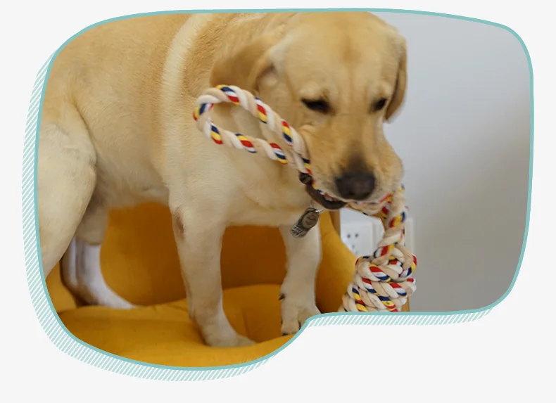 Pet toys bite-resistant knot interactive grinding stick large dog chewing gum golden retriever dog tooth cleaning toys