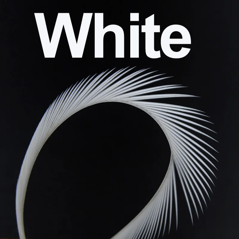 12pcs white 12 шт. гусиный биос перо Beadhead Prince Nymph Tail крыло чехол Камень мухобойка Материал Черный Белый Коричневый Красный зеленый красный синий - Цвет: 12pcs white
