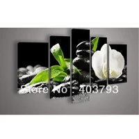 5 panel wall art botanical feng shui white orchid oil painting on canvas for living room pictures on the wall free shipping