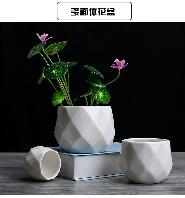 Милая современная керамика сочный кактус цветочный горшок для растений дома сад