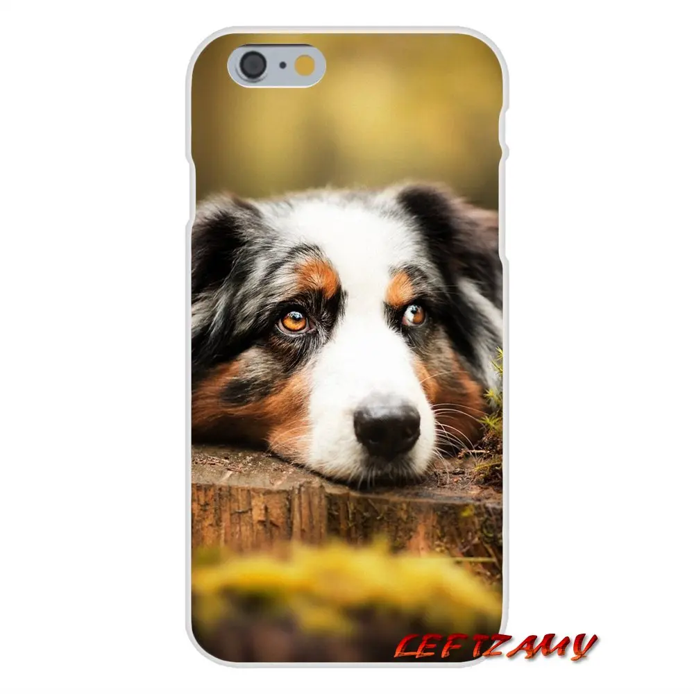 Australian Shepherd Shiba Inu Dog For Samsung Galaxy A5 A6S A7 A8 A9S Star J4 J6 J7 J8 Prime Plus 2018 Transparent TPU Skin Case | Мобильные